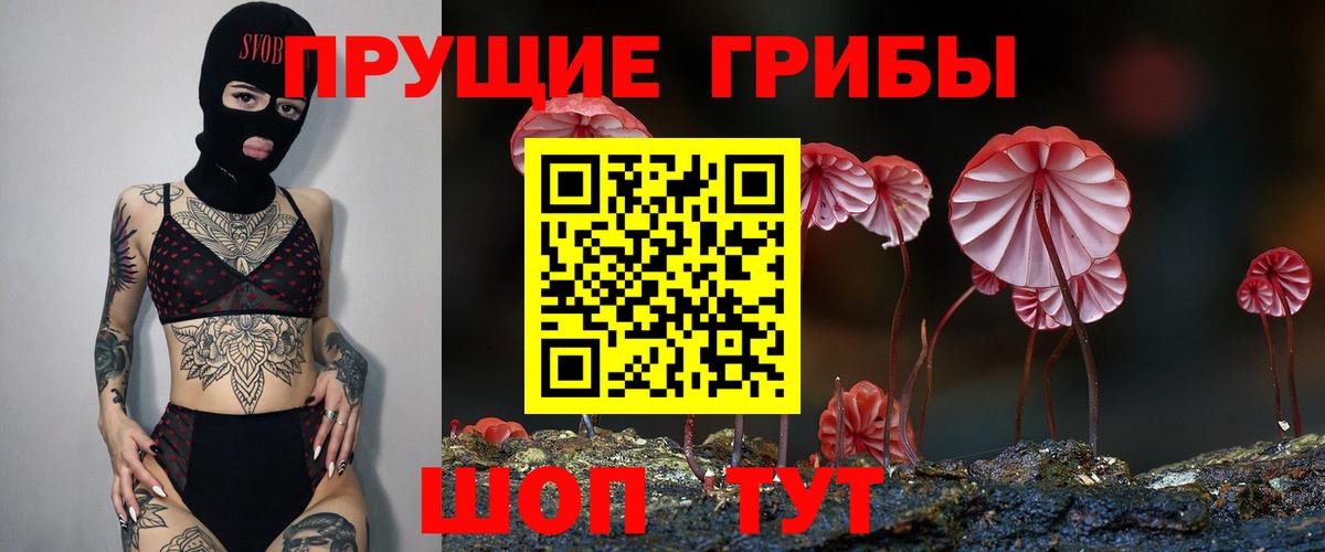 Галлюциногенные грибы GOLDEN TEACHER  где купить наркоту  Псилоцибиновые грибы GOLDEN TEACHER  Мурино  Вход с VPN 