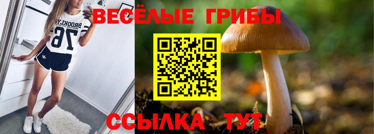 Псилоцибиновые грибы прущие грибы Мурино